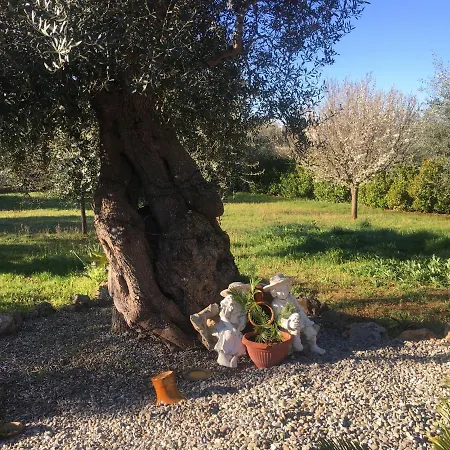 Quirico * Locorotondo