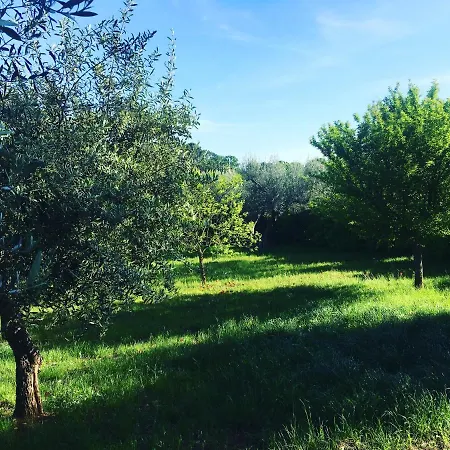 Quirico